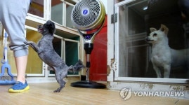 예비 퍼스트 독 토리 바라보는 친구