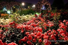 [주말 N 여행] 호남권: 장미와 동화의 만남…섬진강 기차마을 곡성세계장미축제