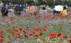 5월 더위엔 양산이 필수품