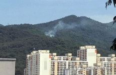 부산 백양산 중턱서 산불