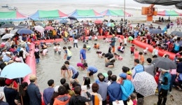 서산갯마을축제 27∼28일 지곡면 왕산포서 열려