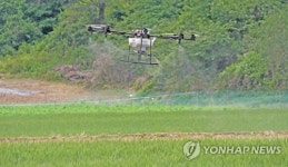 드론으로 농약방제