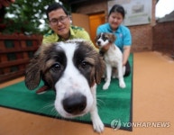 털 짧은 얼룩 삽살개 복제 성공…일반에 선봬