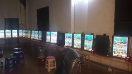 독버섯처럼 번지는 불법 게임장…단속 작년比 132%↑