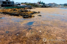 신안·해남 괭생이모자반 습격…전남 서남해안 비상