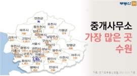 경기도에서 부동산 중개업소 가장 많은 곳은 수원