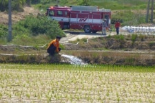 전남 논 380㏊ 시들고 말라…영농현장 가뭄 피해 확산