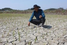 기우제라도 올려야 할 상황…가뭄에 전국이 탄다