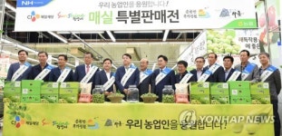 농협, 매실 상생마케팅