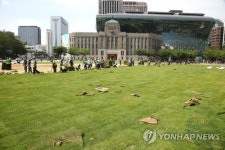 서울광장에 잔디심는 서울시 관계자들