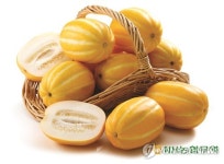 농협, 성주 참외 유럽지역 최초 수출!