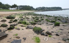 백사장 사라진 제주 하모해수욕장