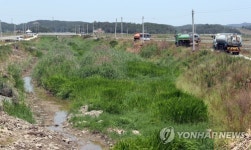 말라버린 하천