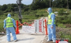 방역당국 제주 AI, H5N8형으로 확인…군산서도 양성반응
