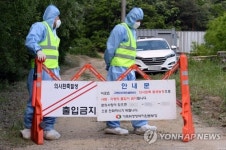 파주 AI 발생농장 닭 650마리 유통…확산 우려