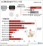 울산 전통시장서 유통된 후 폐사한 토종닭 AI 양성(종합)