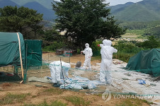 양산 AI 의심농가 방역작업