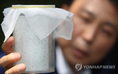 소나무를 살리는 이것은?