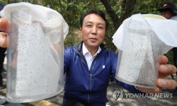 소나무를 살리는 이것은?