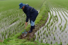모처럼 단비…논두렁 다지기