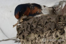 부지런히 지어야지