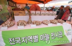 [카메라뉴스] 대정 마늘 우수성 알리자 제주서 박람회