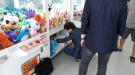 파주, 5천원이상 경품 불법 인형뽑기방 15곳 영업정지