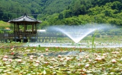 [고성소식] 고성문화센터 소가야달빛사냥 공연