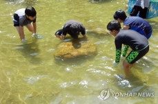 화천 토고미 마을-대기업15년 교류 활발