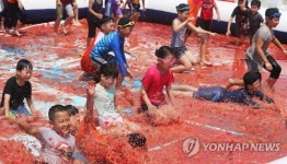 신나는 토마토 축제