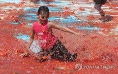 여기가 토마토 천국
