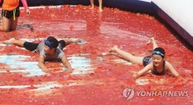 여기가 토마토 천국