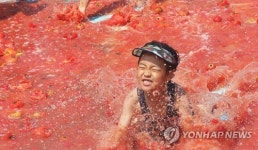 여기가 토마토 천국