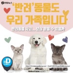 [카드뉴스] 반려동물은 물건…동물병원 의료사고에도 배상 적은 이유