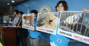 개농장 분포 실태 공개하는 카라