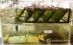 경기도보건환경연구원, 미세조류 하수처리로 특허기술상 수상