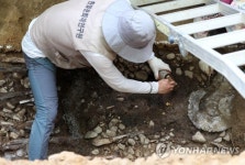 1천500년전 압독 지배층 묘 발굴