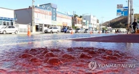 슈퍼 문 상습침수 끝…목포 동명사거리 차수벽 효과