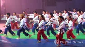깜찍한 어린이 태권도 시범단