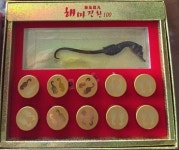 중국인 선호 해마 제주서 본격 양식…연 54억원 소득 기대