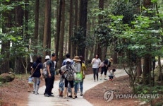[카메라뉴스] 강진 초당림…비밀정원 거닐며 삼림욕