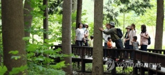 [카메라뉴스] 강진 초당림…비밀정원 거닐며 삼림욕