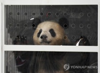 중국 외교사절 판다 곰 두 마리 독일 입성
