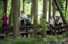강진 초당림에서 숲 속 힐링