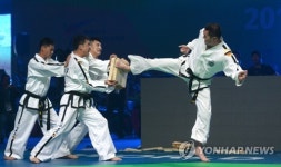 [세계태권도] 남북한 따로 커 온 WTF와 ITF, 뿌리는 하나