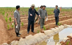 북한 박봉주, 가뭄피해 현지시찰