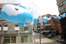 가로수길 하늘을 헤엄치는 블루피쉬