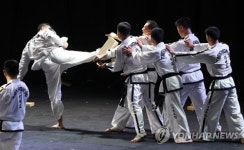 북한 태권도의 화려한 시범