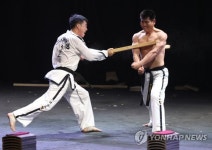 맨몸 시범
