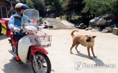 보배이불집앞 | 산골마을 배달하는 집배원